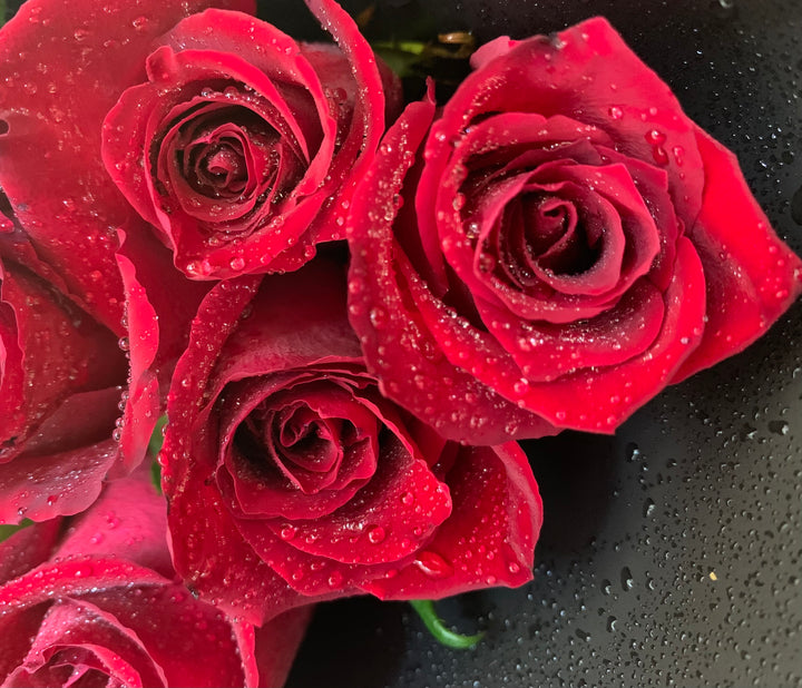 Premium red roses for valentine's day