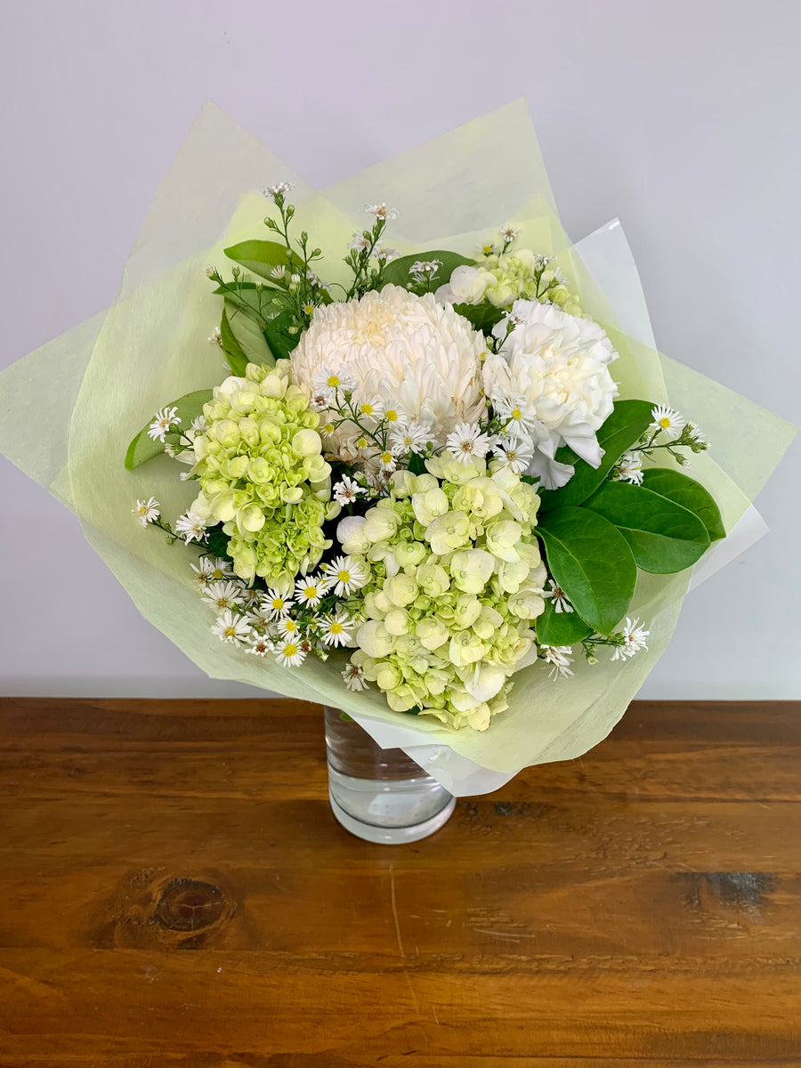White flowers, fresh flowers, hydrangea, Disbud, Carnation, Classic 